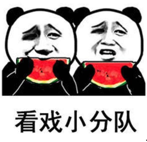 娱乐吃瓜表情包图片,笑翻你的表情包盛宴