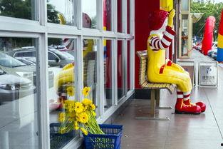 山东招远 行凶者 背景,揭开行凶者背后的惊人真相